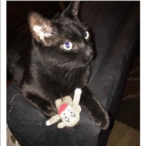 Meet your Posher, Jadyn